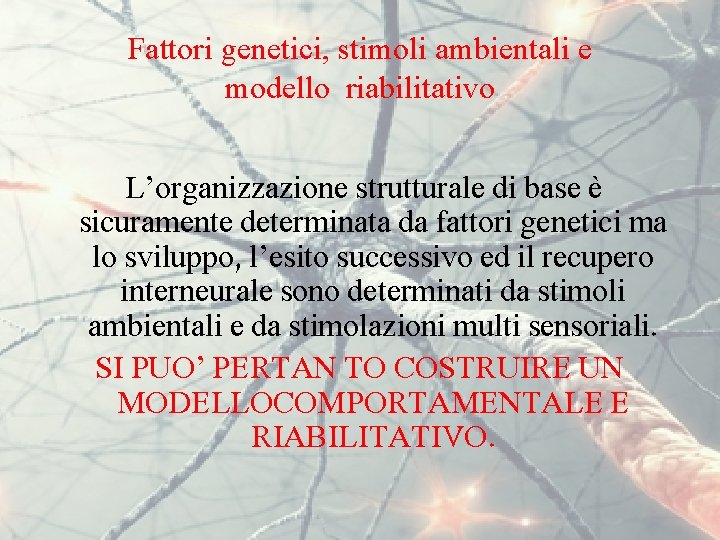 Fattori genetici, stimoli ambientali e modello riabilitativo L’organizzazione strutturale di base è sicuramente determinata