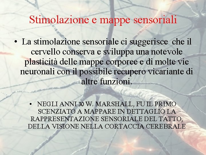 Stimolazione e mappe sensoriali • La stimolazione sensoriale ci suggerisce che il cervello conserva