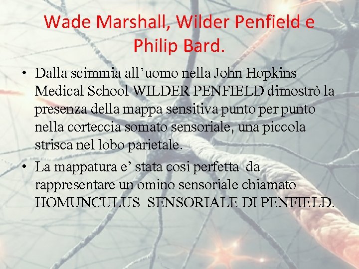 Wade Marshall, Wilder Penfield e Philip Bard. • Dalla scimmia all’uomo nella John Hopkins