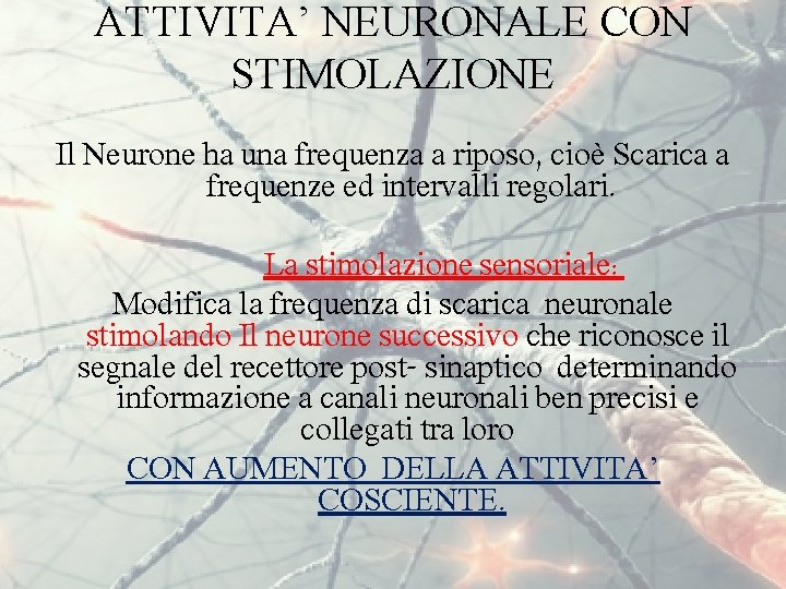 ATTIVITA’ NEURONALE CON STIMOLAZIONE Il Neurone ha una frequenza a riposo, cioè Scarica a