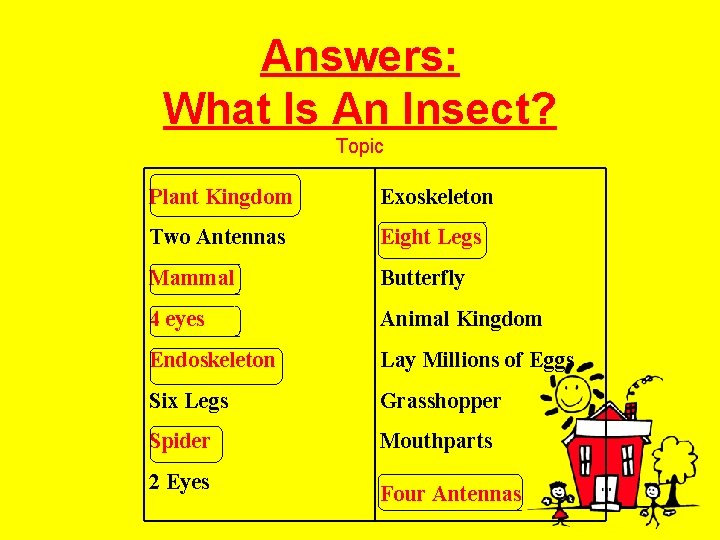 Answers: What Is An Insect? Topic Plant Kingdom Exoskeleton Two Antennas Eight Legs Mammal