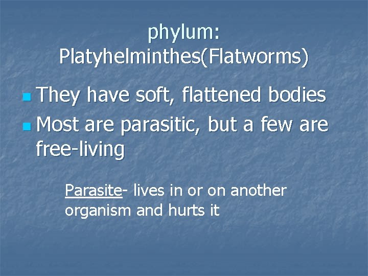 phylum: Platyhelminthes(Flatworms) n They have soft, flattened bodies n Most are parasitic, but a