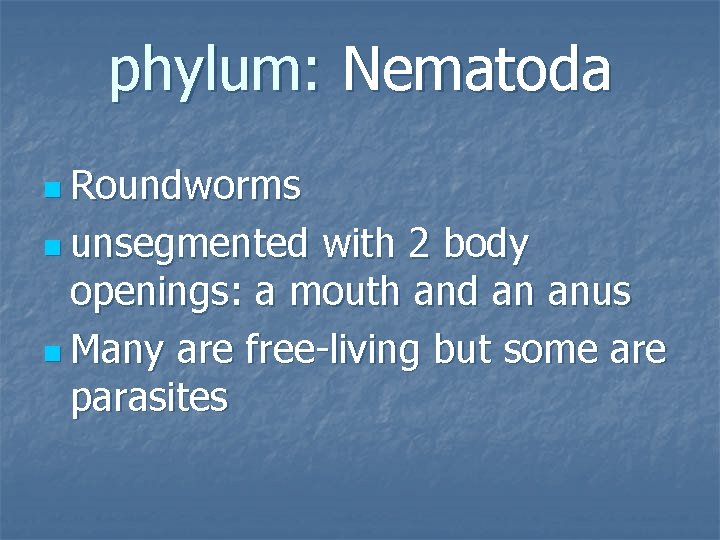 phylum: Nematoda n Roundworms n unsegmented with 2 body openings: a mouth and an