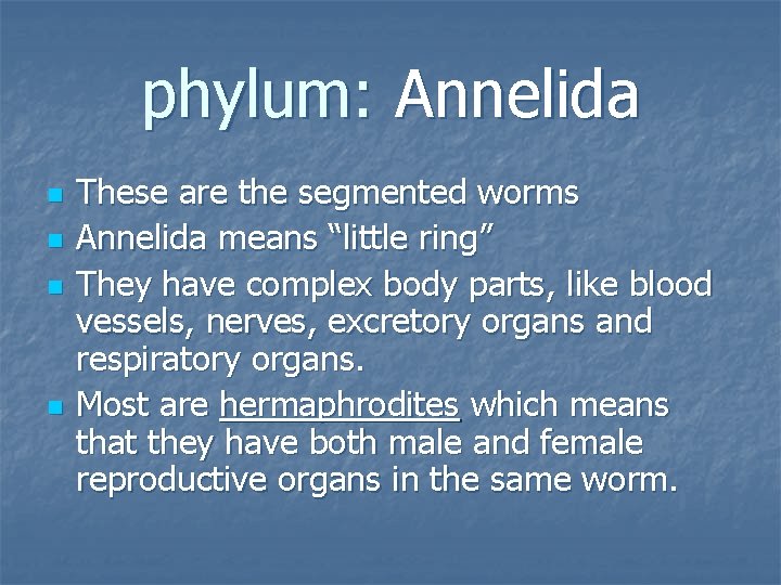 phylum: Annelida n n These are the segmented worms Annelida means “little ring” They