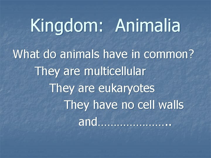 Kingdom: Animalia What do animals have in common? They are multicellular They are eukaryotes