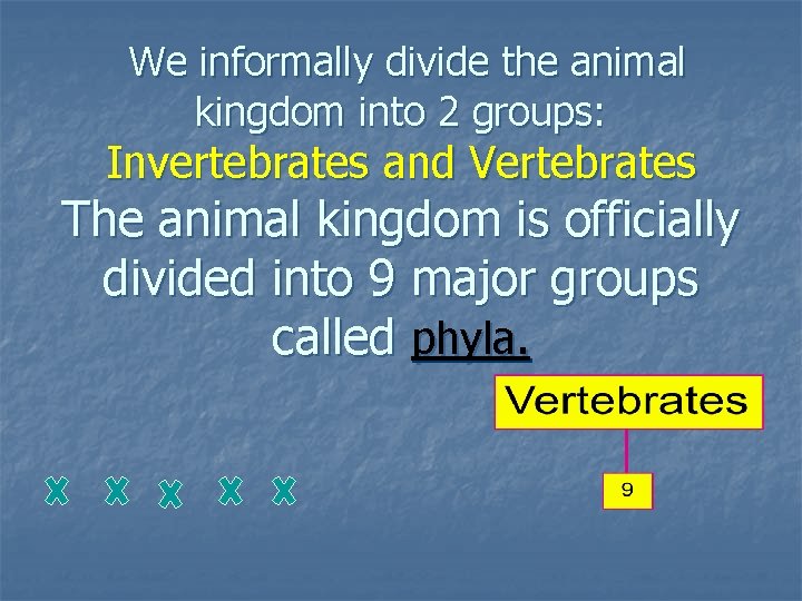 We informally divide the animal kingdom into 2 groups: Invertebrates and Vertebrates The animal