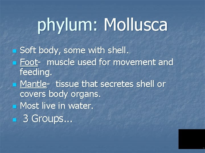 phylum: Mollusca n n n Soft body, some with shell. Foot- muscle used for