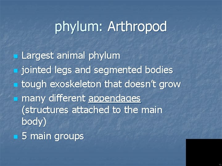phylum: Arthropod n n n Largest animal phylum jointed legs and segmented bodies tough