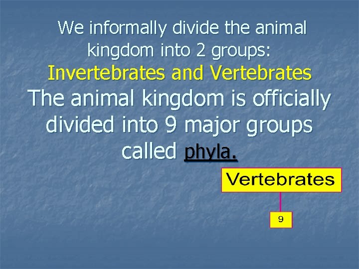 We informally divide the animal kingdom into 2 groups: Invertebrates and Vertebrates The animal