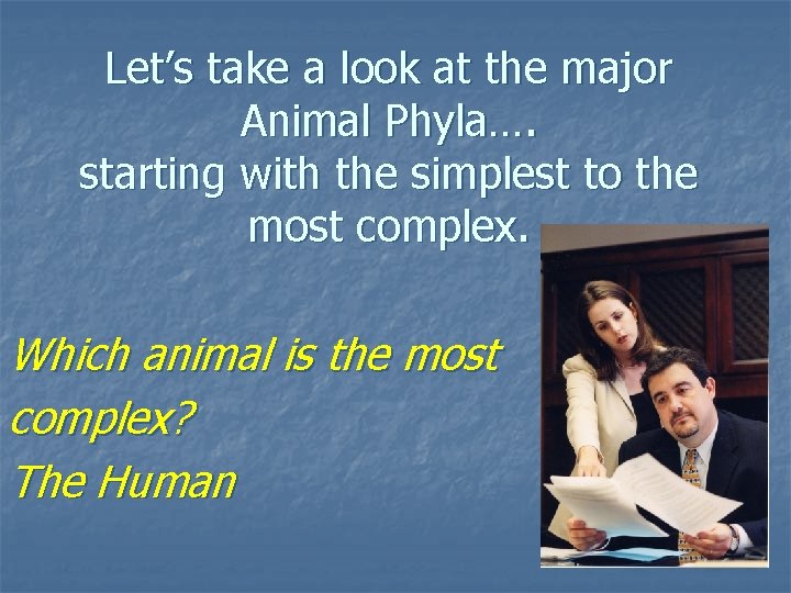 Let’s take a look at the major Animal Phyla…. starting with the simplest to