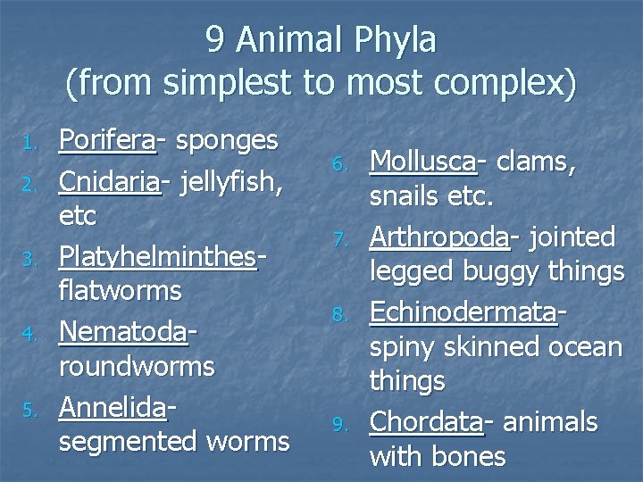 9 Animal Phyla (from simplest to most complex) 1. 2. 3. 4. 5. Porifera-