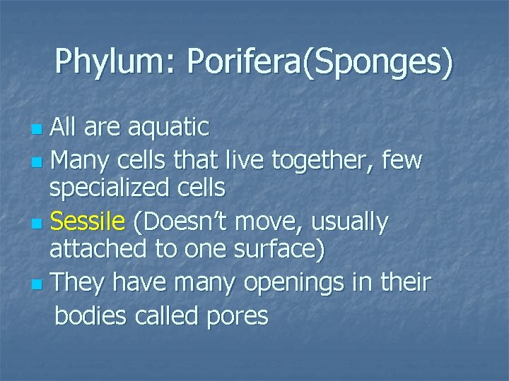 Phylum: Porifera(Sponges) All are aquatic n Many cells that live together, few specialized cells