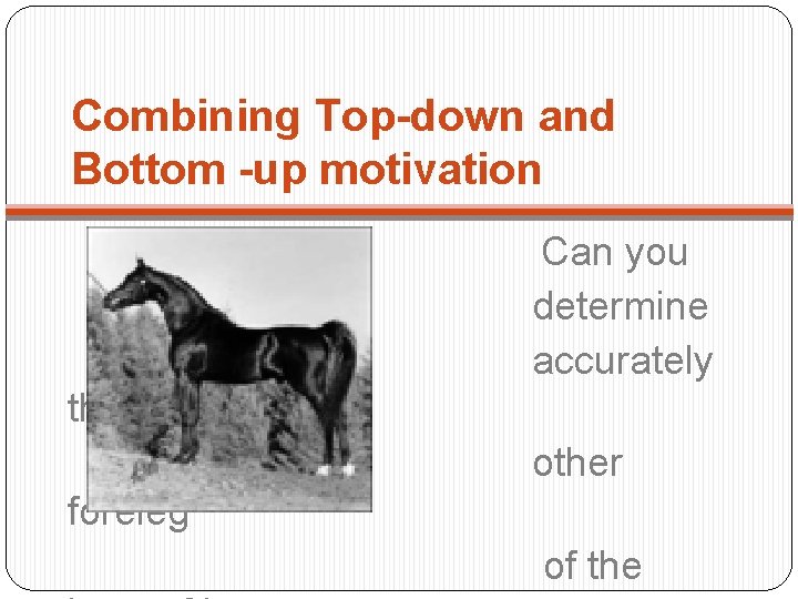 Combining Top-down and Bottom -up motivation Can you determine accurately the other foreleg of