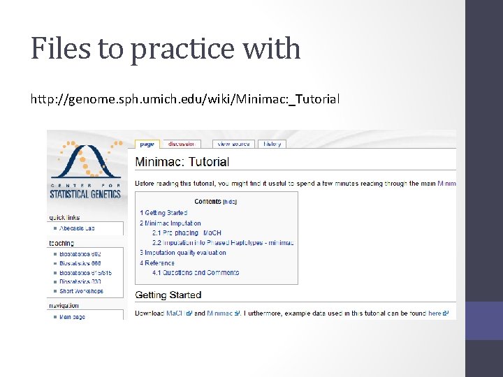Files to practice with http: //genome. sph. umich. edu/wiki/Minimac: _Tutorial 