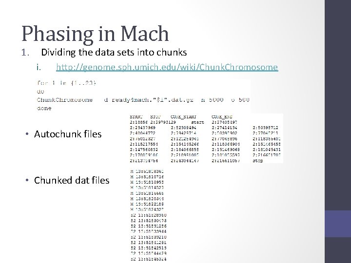 Phasing in Mach 1. Dividing the data sets into chunks i. http: //genome. sph.