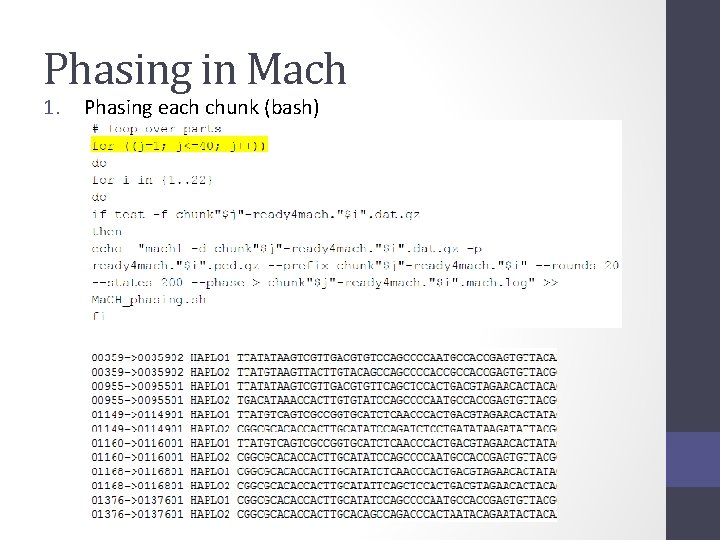 Phasing in Mach 1. Phasing each chunk (bash) 