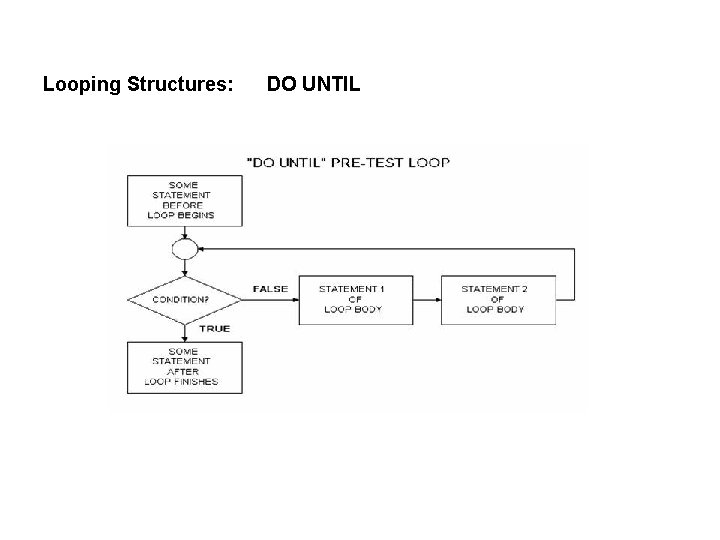 Looping Structures: DO UNTIL 