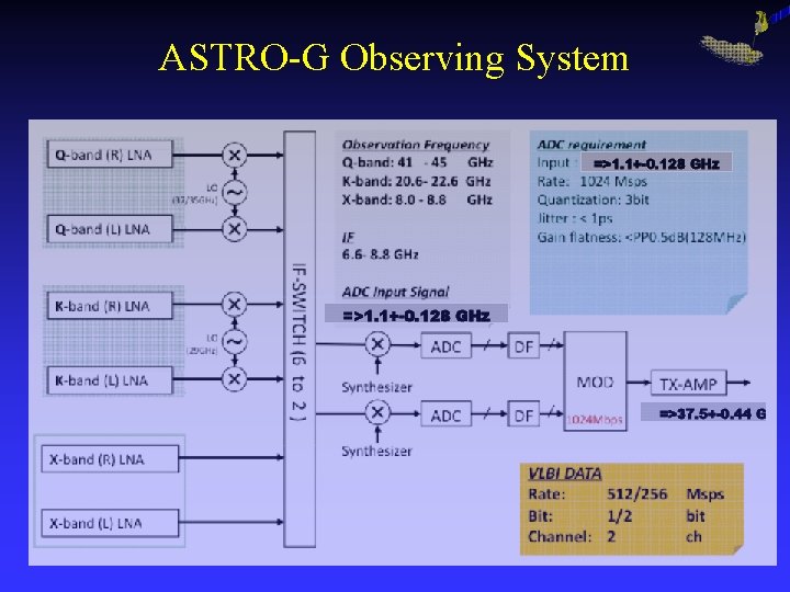 ASTRO-G Observing System 