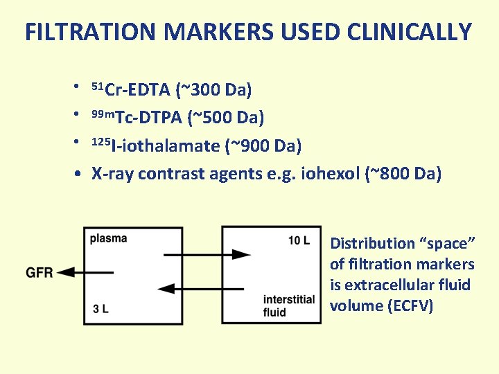 FILTRATION MARKERS USED CLINICALLY • 51 Cr-EDTA (~300 Da) • 99 m. Tc-DTPA (~500