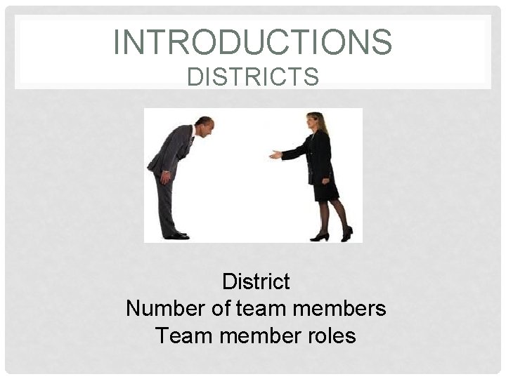 INTRODUCTIONS DISTRICTS District Number of team members Team member roles 