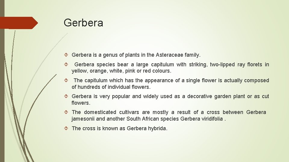 Gerbera is a genus of plants in the Asteraceae family. Gerbera species bear a