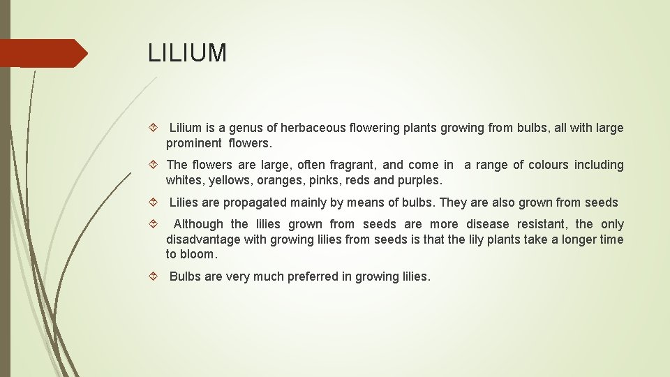 LILIUM Lilium is a genus of herbaceous flowering plants growing from bulbs, all with