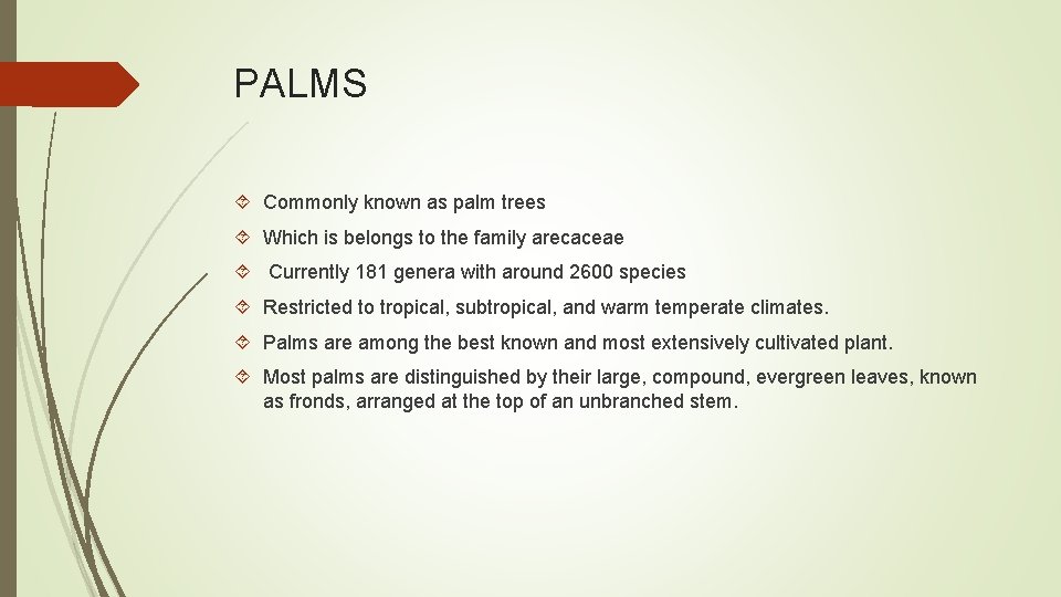 PALMS Commonly known as palm trees Which is belongs to the family arecaceae Currently