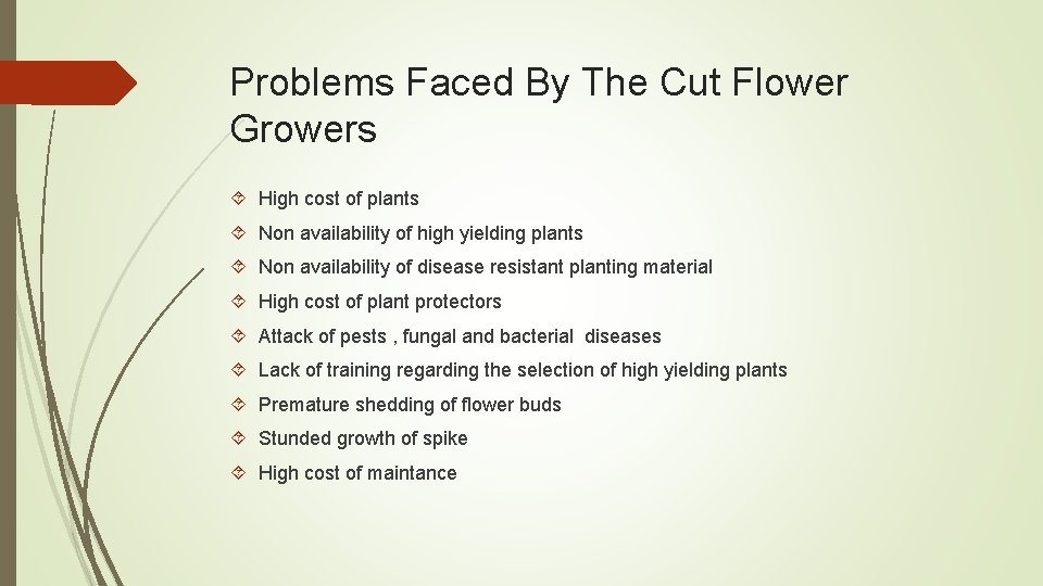 Problems Faced By The Cut Flower Growers High cost of plants Non availability of