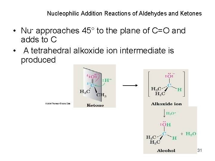 Nucleophilic Addition Reactions of Aldehydes and Ketones • Nu- approaches 45° to the plane