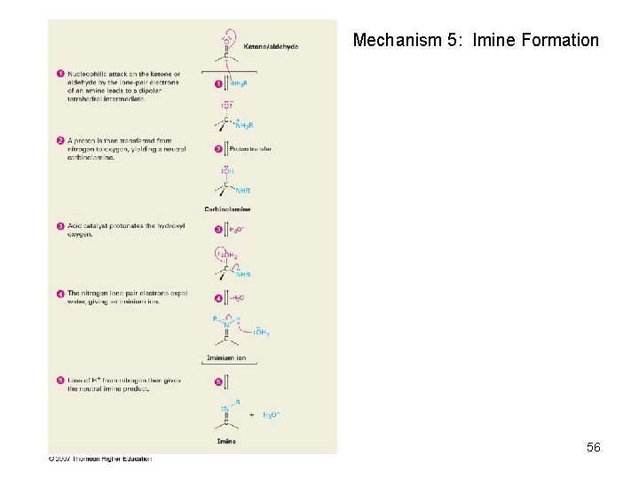 Mechanism 5: Imine Formation 56 