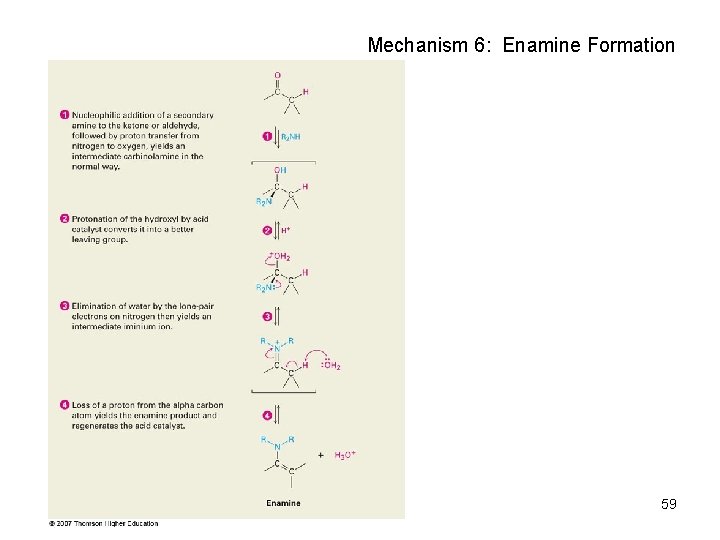 Mechanism 6: Enamine Formation 59 