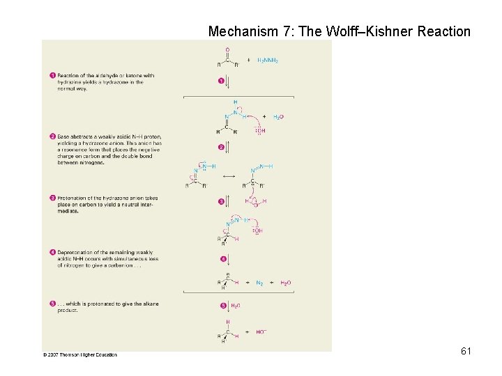 Mechanism 7: The Wolff–Kishner Reaction 61 