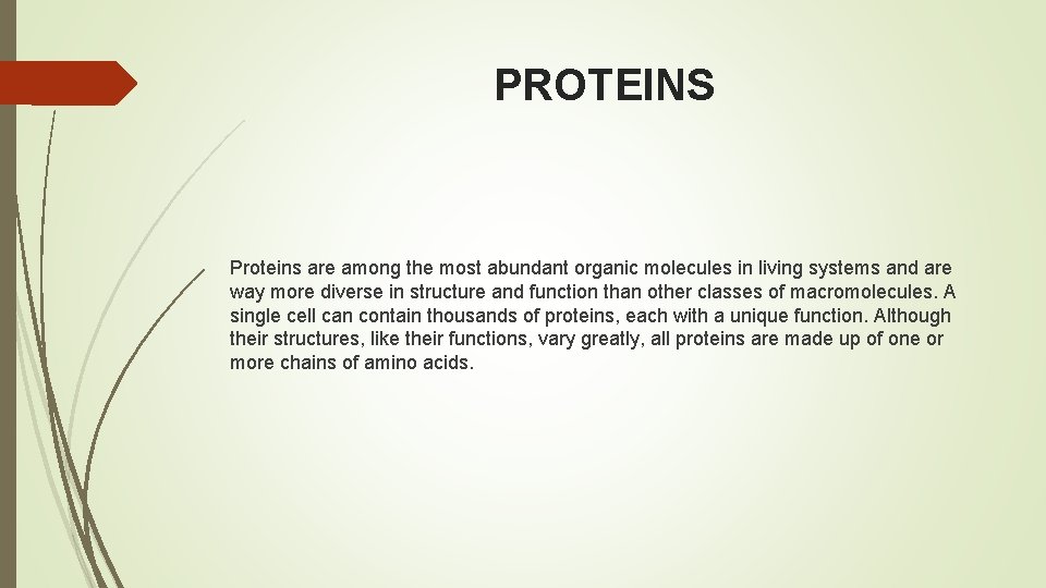 PROTEINS Proteins are among the most abundant organic molecules in living systems and are