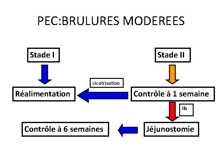 PEC: BRULURES MODEREES Stade II cicatrisation Réalimentation Contrôle à 1 semaine IIb Contrôle à