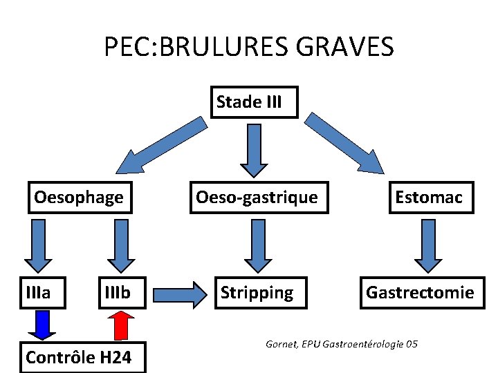 PEC: BRULURES GRAVES Stade III Oesophage IIIa IIIb Contrôle H 24 Oeso-gastrique Stripping Estomac