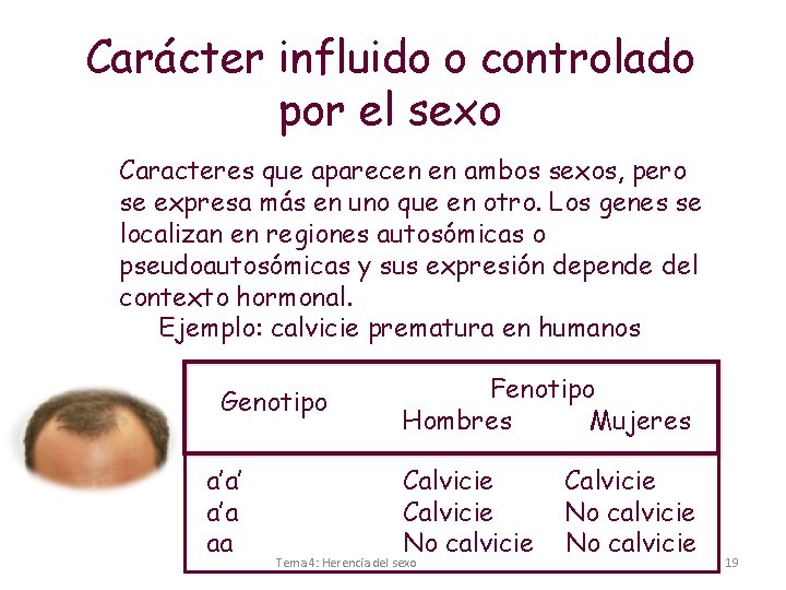 Carácter influido o controlado por el sexo Caracteres que aparecen en ambos sexos, pero