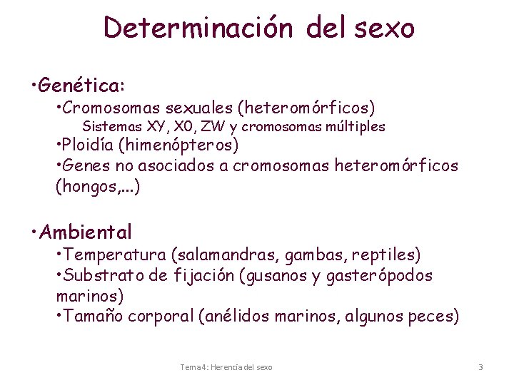 Determinación del sexo • Genética: • Cromosomas sexuales (heteromórficos) Sistemas XY, X 0, ZW