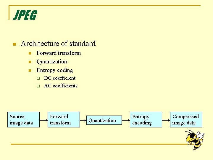 JPEG n Architecture of standard n n n Forward transform Quantization Entropy coding q JPEG n Architecture of standard n n n Forward transform Quantization Entropy coding q