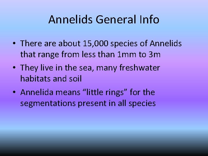 Annelids General Info • There about 15, 000 species of Annelids that range from