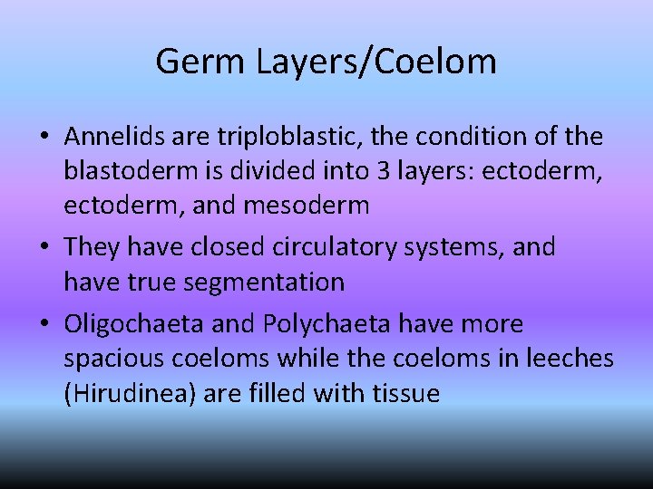 Germ Layers/Coelom • Annelids are triploblastic, the condition of the blastoderm is divided into