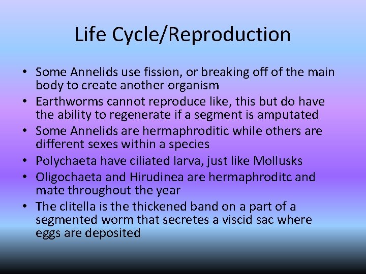 Life Cycle/Reproduction • Some Annelids use fission, or breaking off of the main body