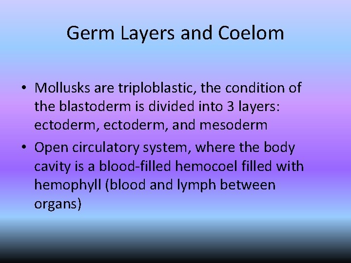 Germ Layers and Coelom • Mollusks are triploblastic, the condition of the blastoderm is