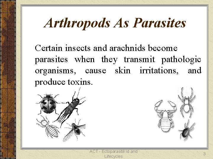 Arthropods As Parasites Certain insects and arachnids become parasites when they transmit pathologic organisms,