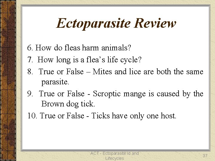 Ectoparasite Review 6. How do fleas harm animals? 7. How long is a flea’s