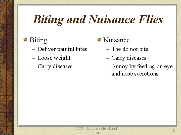 Biting and Nuisance Flies Biting Nuisance – Deliver painful bites – Loose weight –