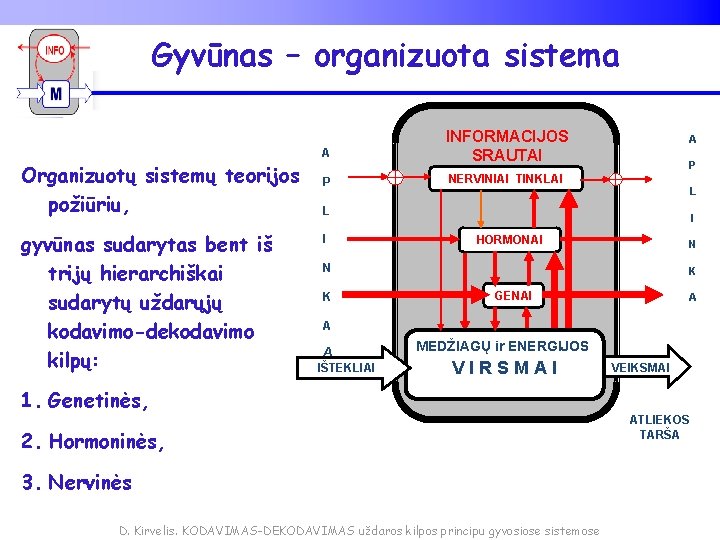 Gyvūnas – organizuota sistema Organizuotų sistemų teorijos požiūriu, gyvūnas sudarytas bent iš trijų hierarchiškai