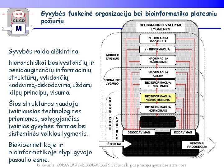 Gyvybės funkcinė organizacija bei bioinformatika platesniu požiūriu Gyvybės raida aiškintina hierarchiškai besivystančių ir besidauginančių