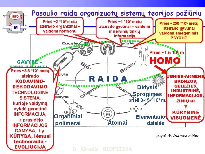 Pasaulio raida organizuotų sistemų teorijos požiūriu Prieš ~2 *109 metų atsirado organizmai – valdomi