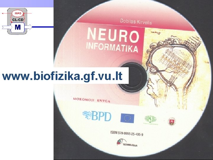 www. biofizika. gf. vu. lt D. Kirvelis. NEUROINFORMATIKA 