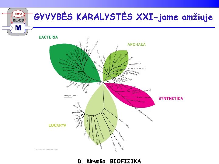 GYVYBĖS KARALYSTĖS XXI-jame amžiuje D. Kirvelis. BIOFIZIKA 